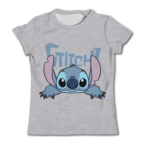 Tee Shirt Stitch Garcon